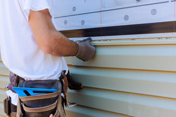 Best Wood Siding Installation  in Steele, MO